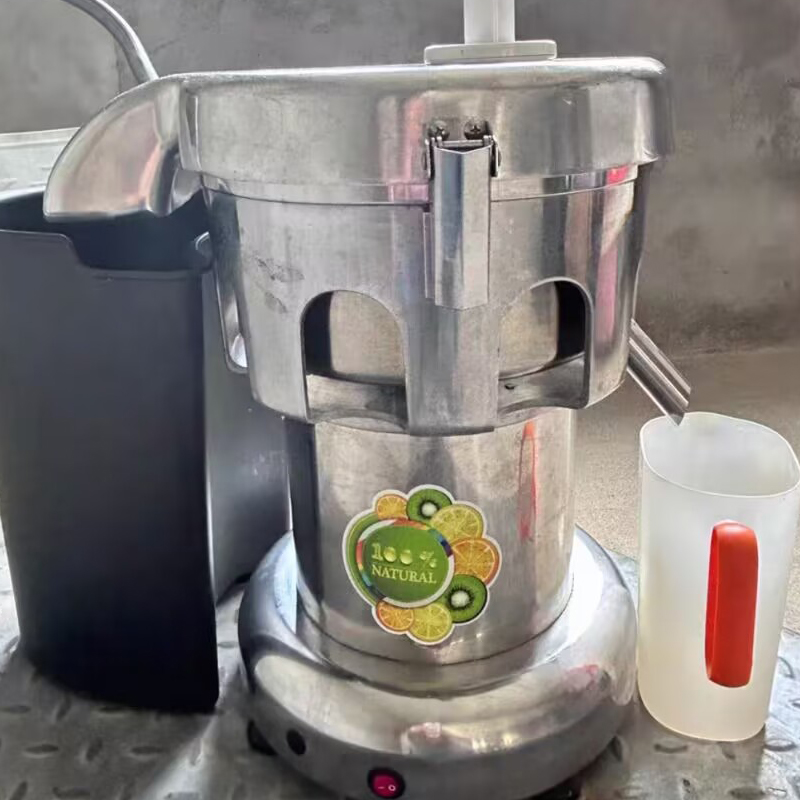 Juicer - 220V Juicers Electric Professional Slow Juicer