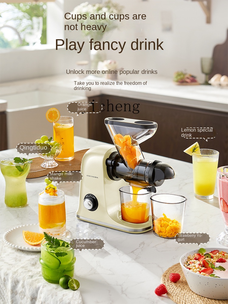 cc28 Low Speed Juicer Juicer S - Juicer ulasan dan harga
