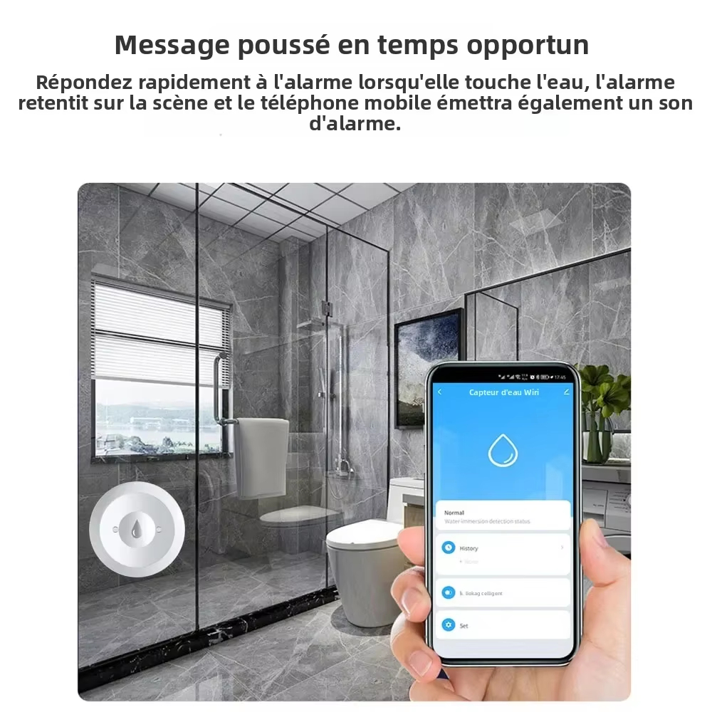 Tuya ZigBee Smart Water Leak S - Kitchen Appliances Video ulasan dan harga