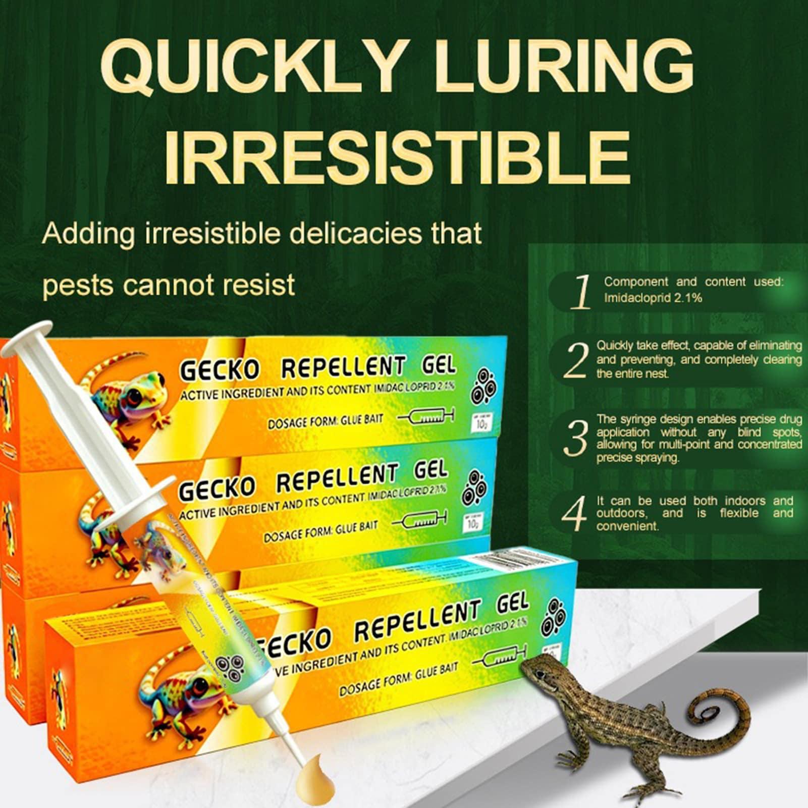 Home Gecko Gel Bait Long Lasti - Kitchen Appliances Cabinet ulasan dan harga