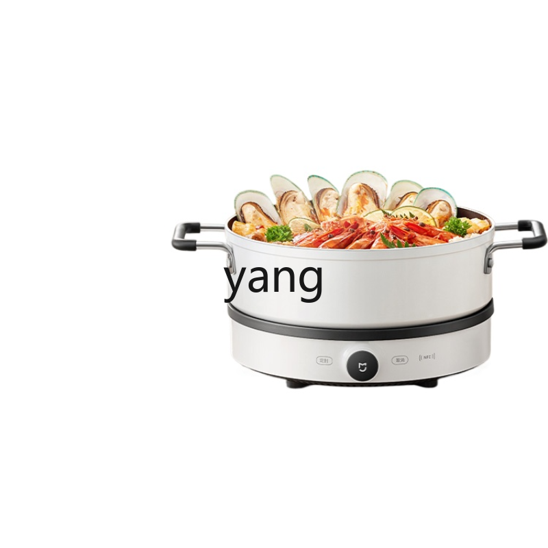 LMM  Induction Cooker Househol - Induction Cooker ulasan dan harga