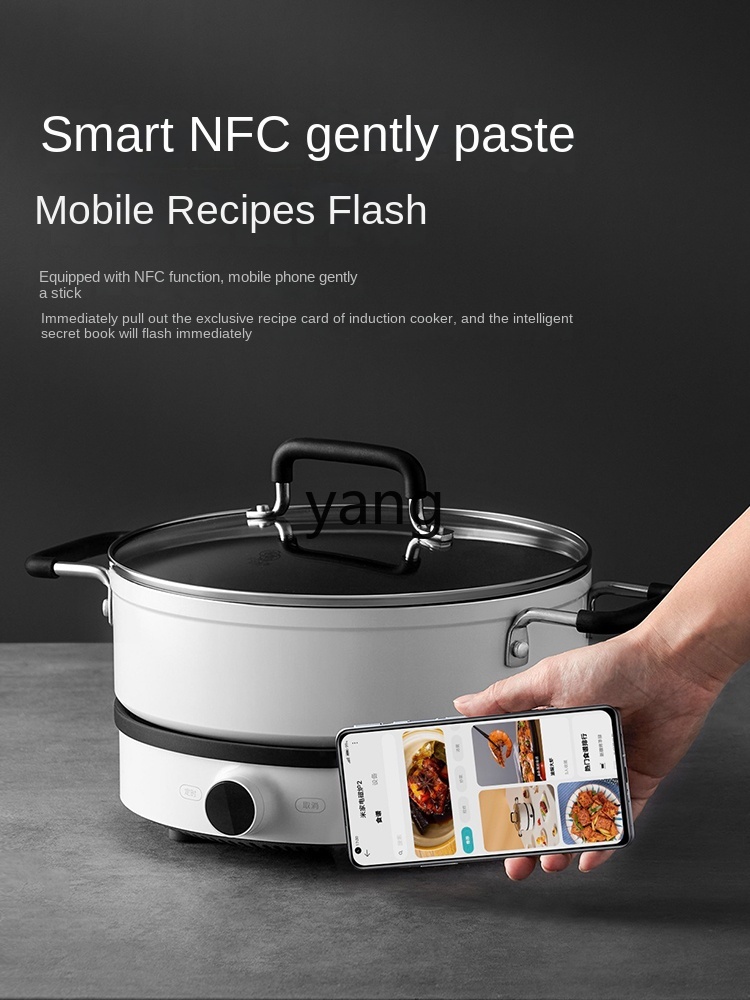 LMM  Induction Cooker Househol - Induction Cooker ulasan dan harga